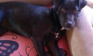 Sad tail has happy ending 